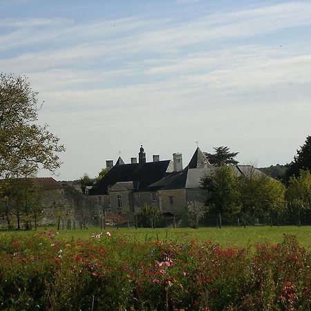 Chateau De La Noblaye Bed and Breakfast Lemere Esterno foto