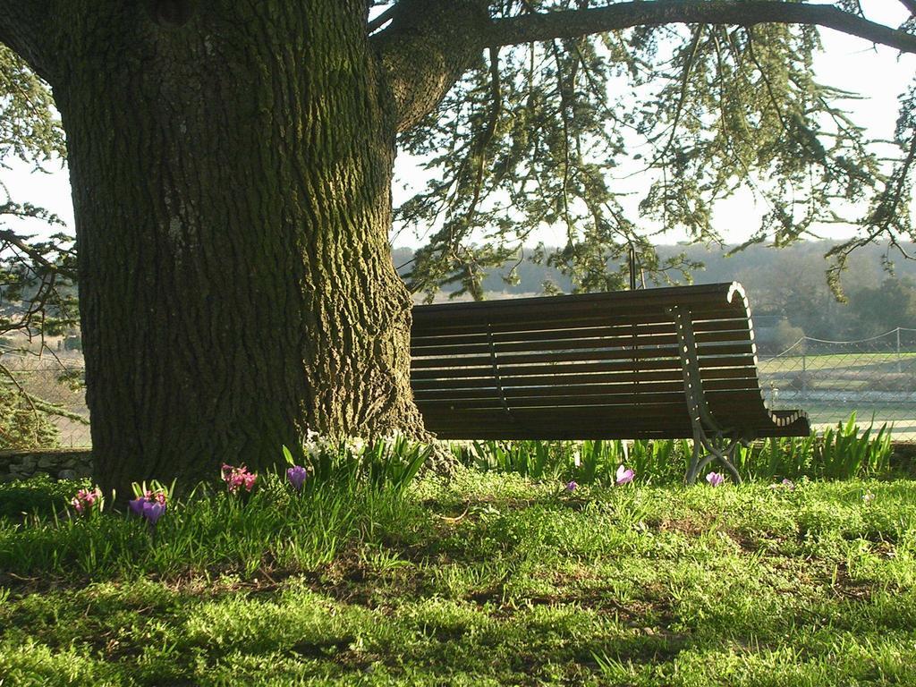 Chateau De La Noblaye Bed and Breakfast Lemere Esterno foto