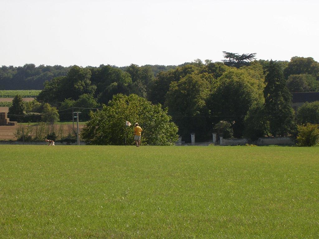 Chateau De La Noblaye Bed and Breakfast Lemere Esterno foto