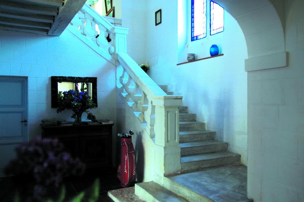 Chateau De La Noblaye Bed and Breakfast Lemere Esterno foto