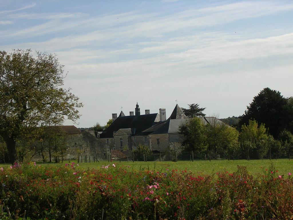 Chateau De La Noblaye Bed and Breakfast Lemere Esterno foto