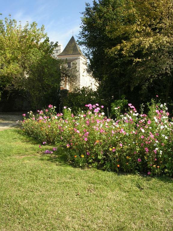 Chateau De La Noblaye Bed and Breakfast Lemere Esterno foto