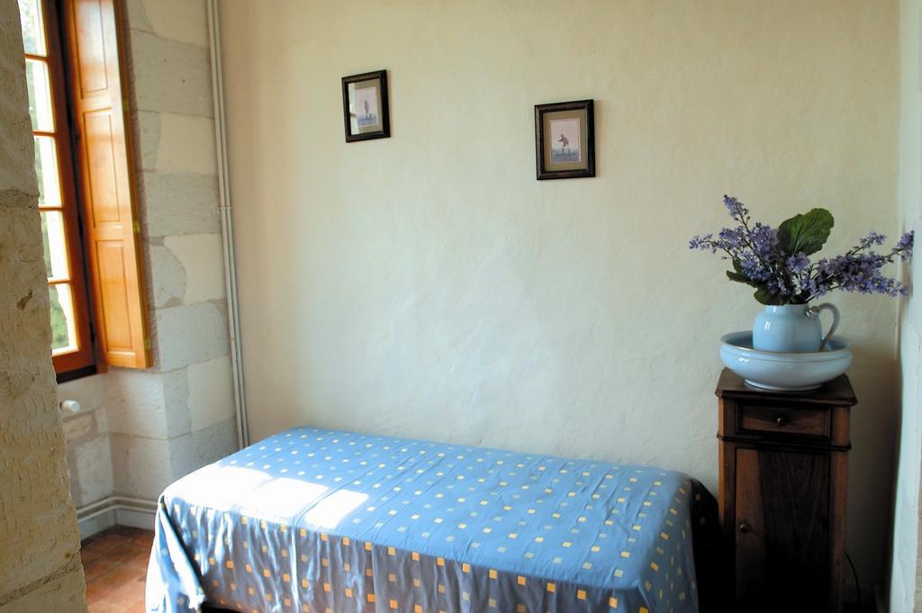 Chateau De La Noblaye Bed and Breakfast Lemere Esterno foto